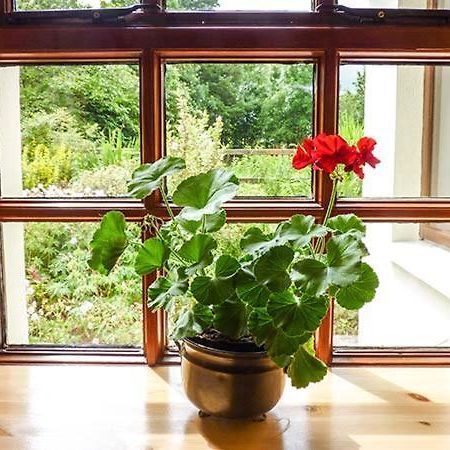 Hawthorn Farm Cottage Curry Екстериор снимка
