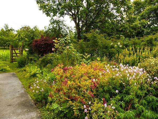 Hawthorn Farm Cottage Curry Екстериор снимка