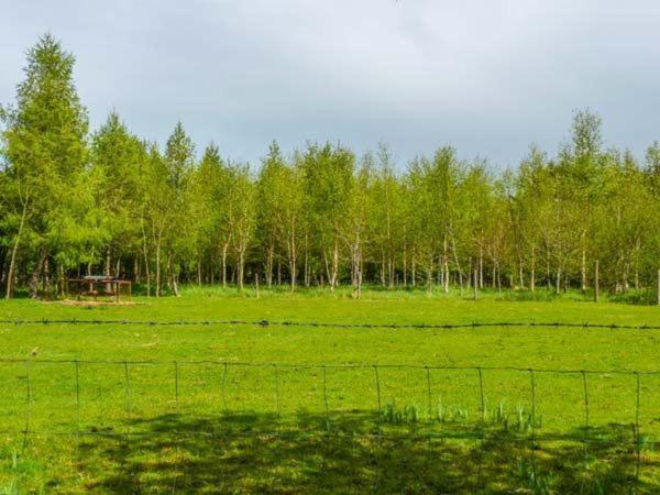 Hawthorn Farm Cottage Curry Екстериор снимка